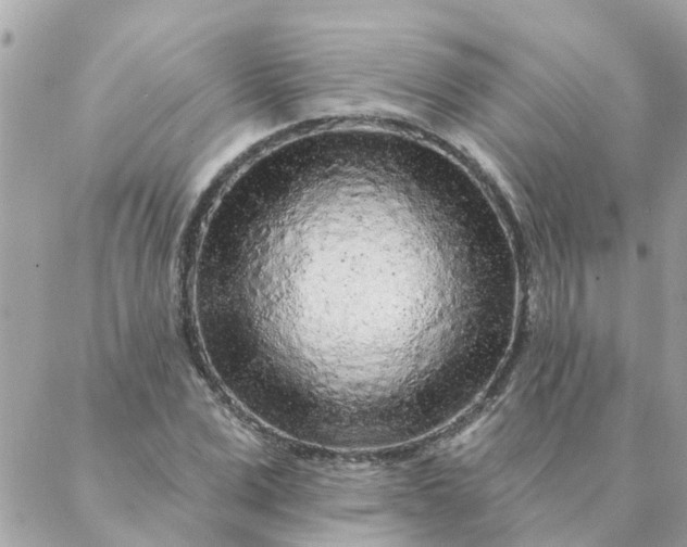 X0000087380975200705041941