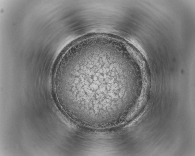 X0000087380976200705041941