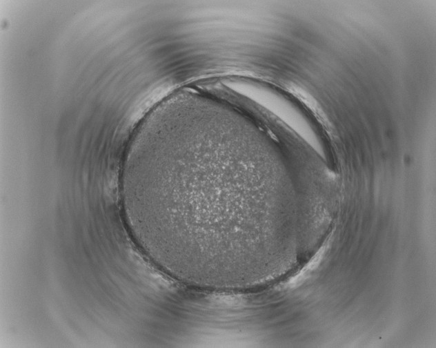 X0000087380977200705041941