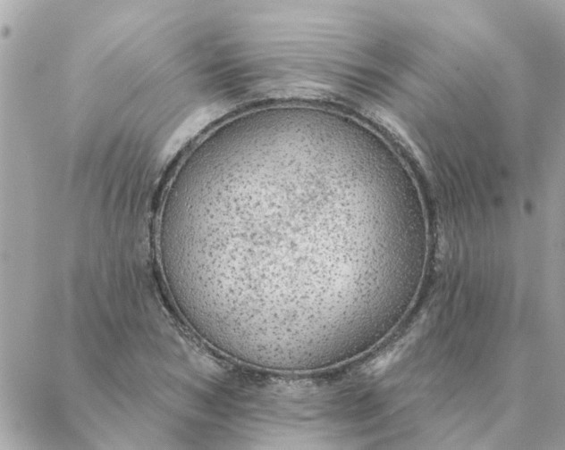 X0000087380978200705041941