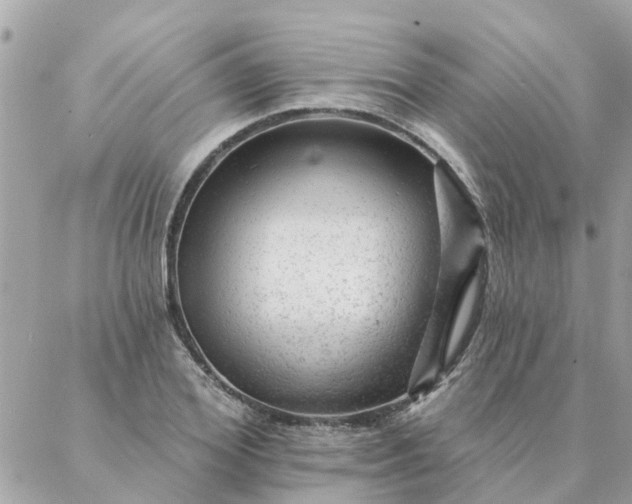 X0000087380980200705041941