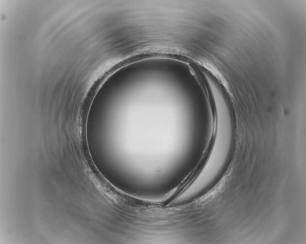 X0000087380981200705041941