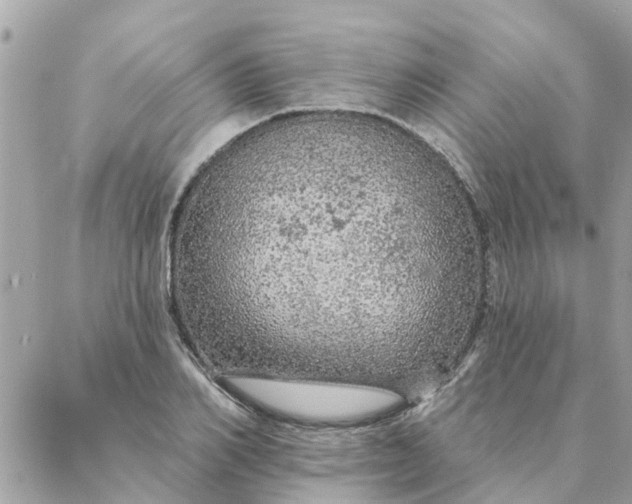 X0000087380982200705041941