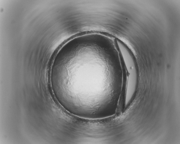 X0000087380983200705041941