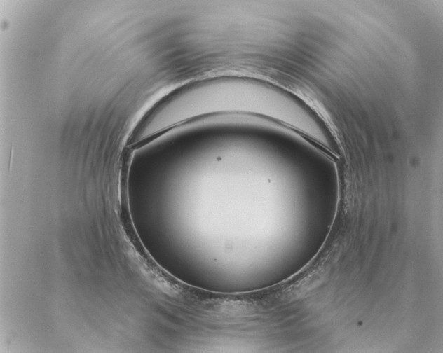 X0000087380984200705041941