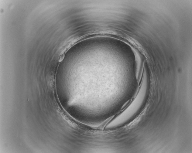 X0000087380985200705041941