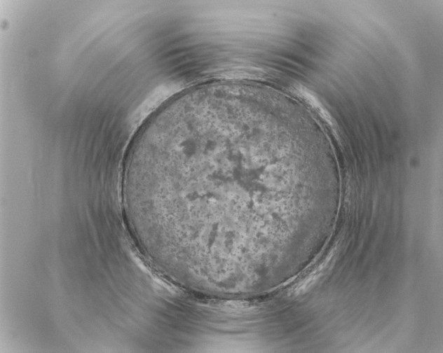 X0000087380986200705041941