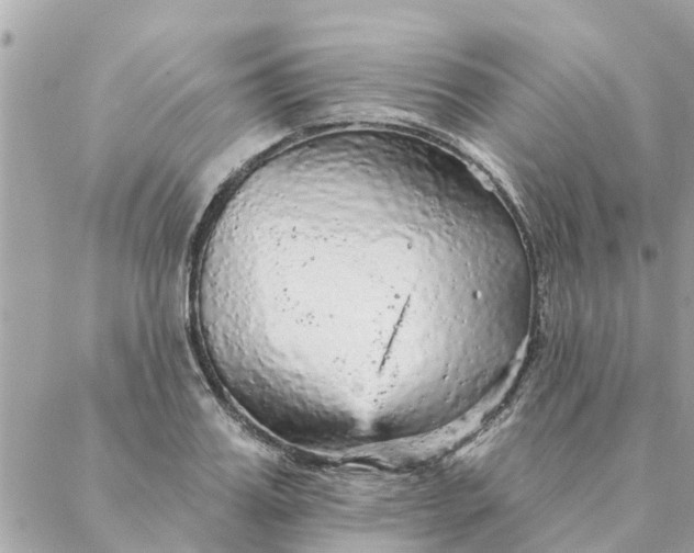 X0000087380987200705041941