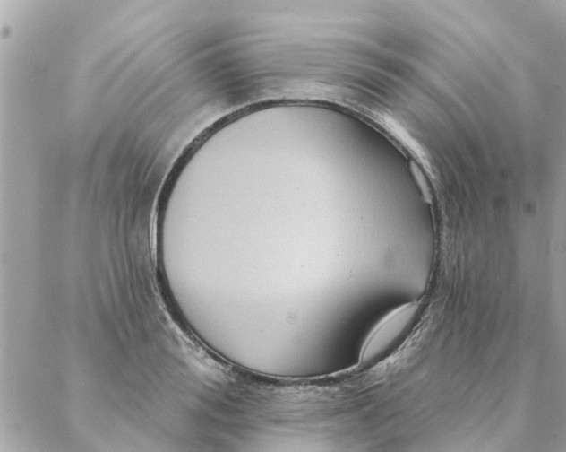 X0000087380988200705041941