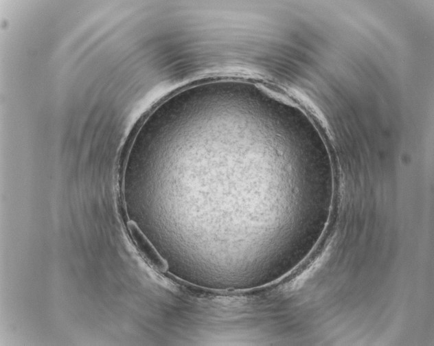 X0000087380989200705041941