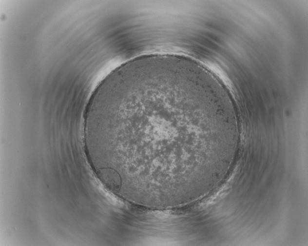 X0000087380990200705041941