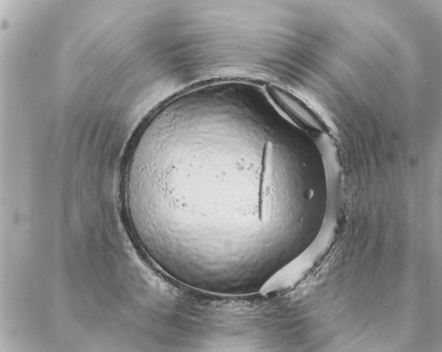 X0000087380991200705041941