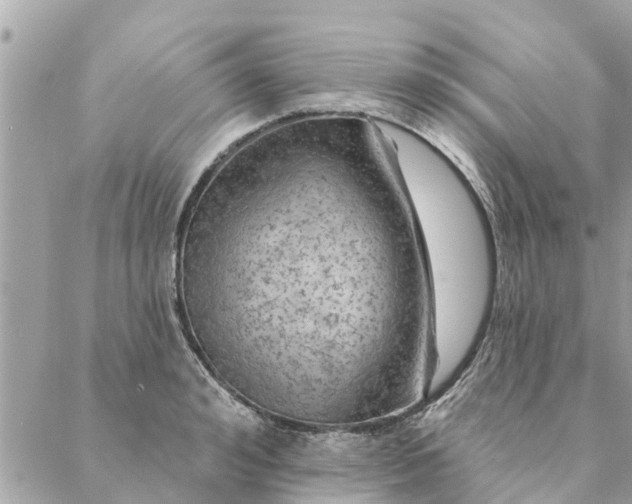 X0000087380992200705041941