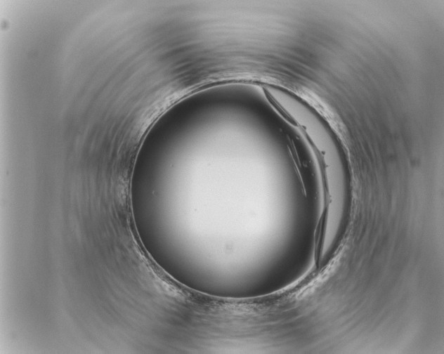 X0000087380993200705041941