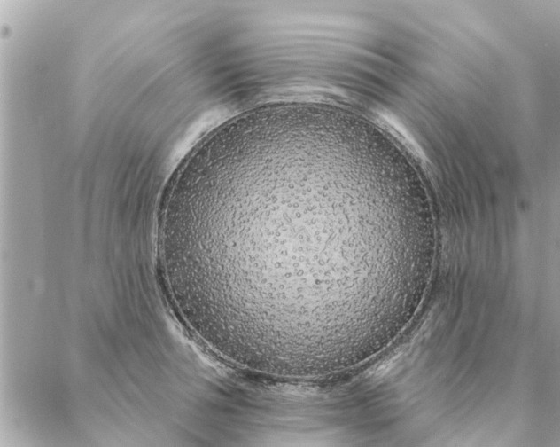 X0000087380994200705041941