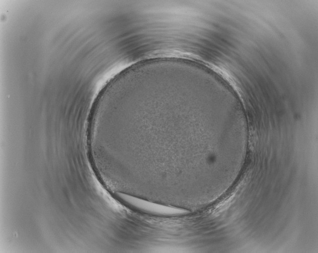 X0000087380995200705041941