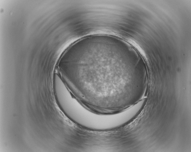 X0000087380996200705041941