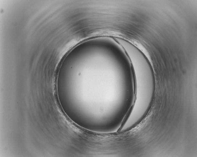 X0000087380997200705041941