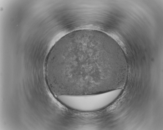 X0000087380998200705041941