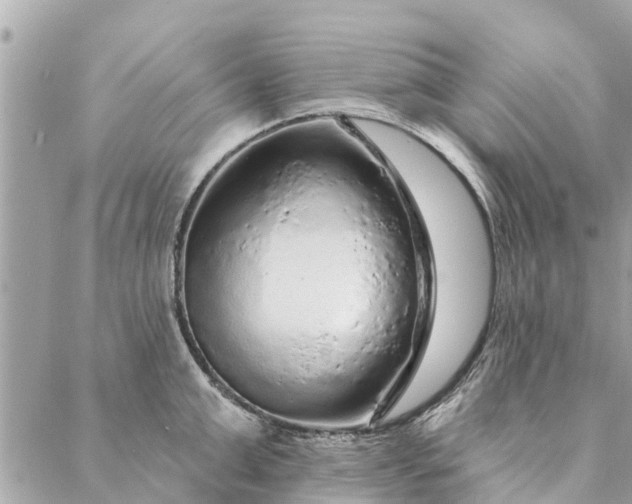 X0000087380999200705041941