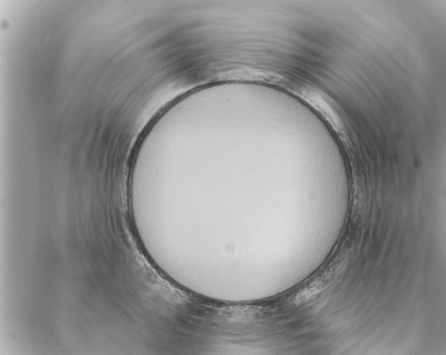 X0000087381000200705041941