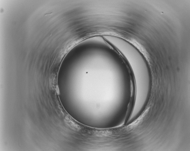 X0000087381001200705041941