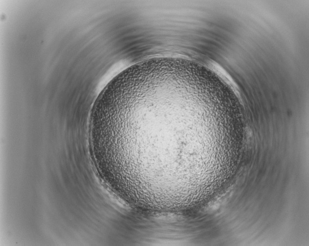 X0000087381002200705041940