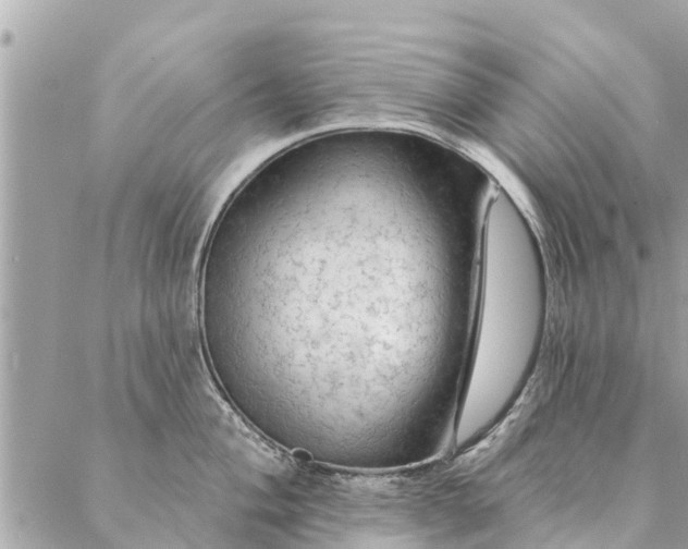 X0000087381004200705041940