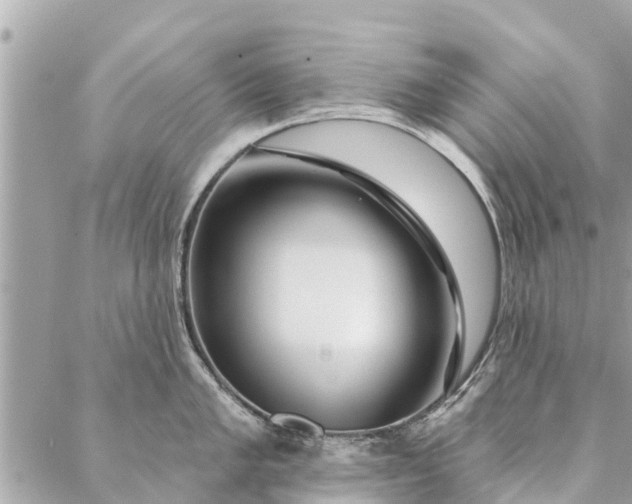 X0000087381005200705041940