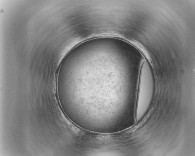 X0000087381006200705041940