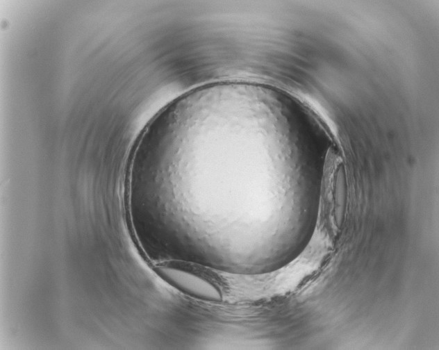 X0000087381007200705041940