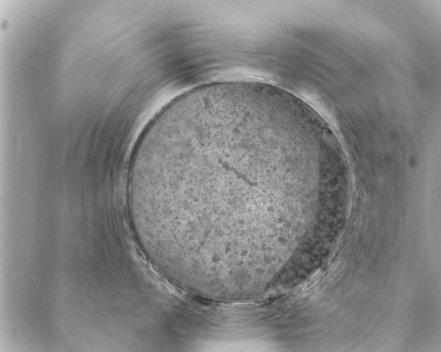 X0000087381008200705041940