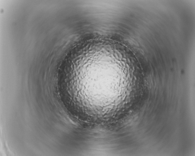 X0000087381009200705041940