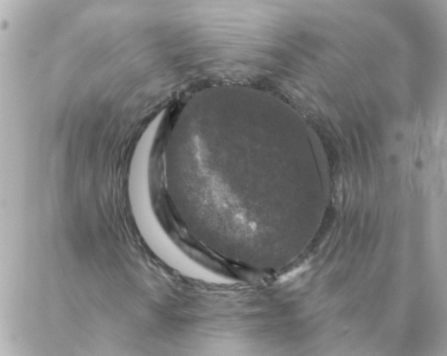 X0000087381010200705041940