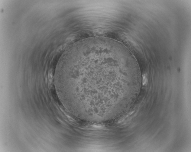 X0000087381011200705041940