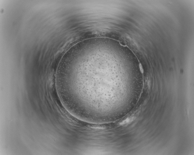 X0000087381012200705041940