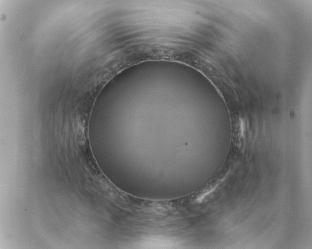 X0000087381013200705041940