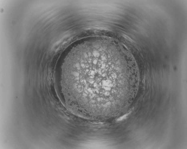 X0000087381014200705041940