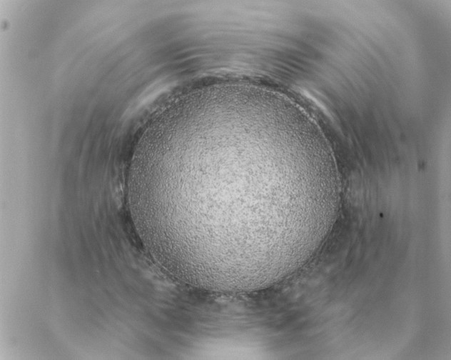 X0000087381015200705041940