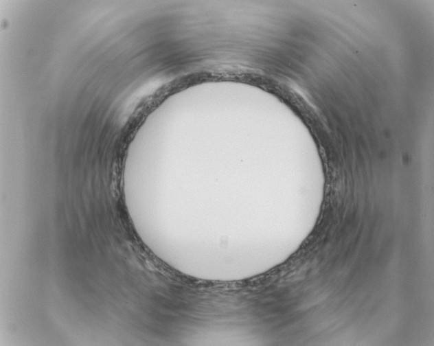 X0000087381016200705041940