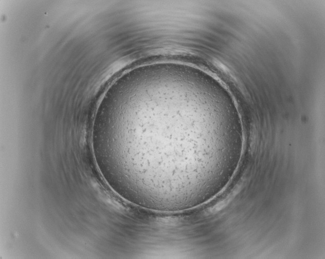 X0000087381017200705041940