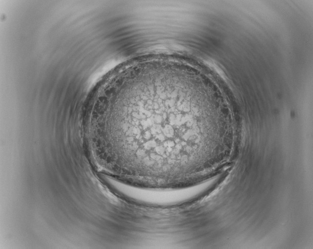 X0000087381018200705041940