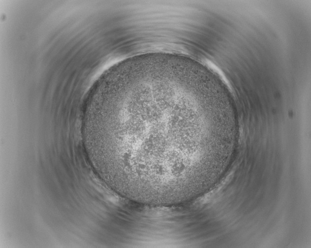 X0000087381019200705041940