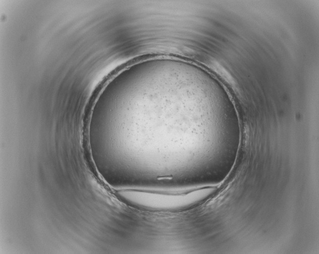 X0000087381020200705041940