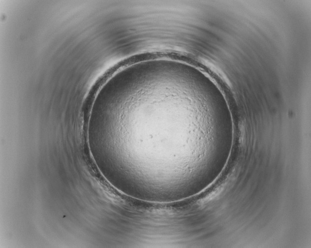 X0000087381021200705041940