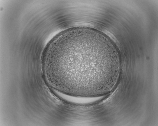 X0000087381022200705041940