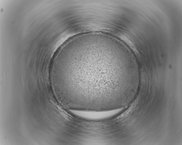 X0000087381023200705041940