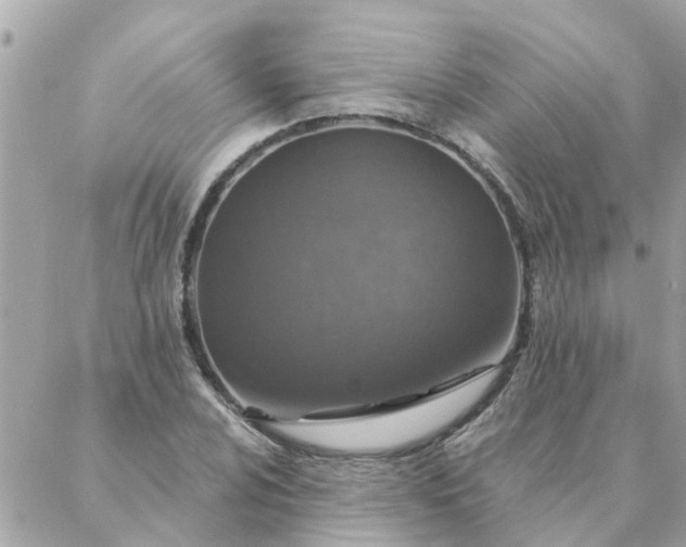 X0000087381024200705041940