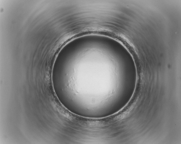 X0000087381025200705041940