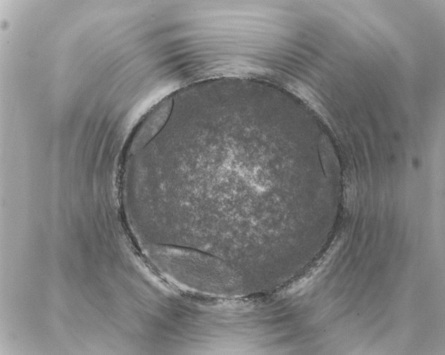 X0000087381026200705041940